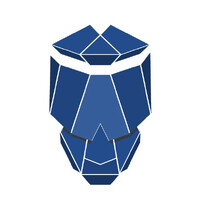 Wise Skulls logo
