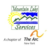 Mountain Lake Services logo
