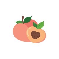 ABA Centers of Georgia logo