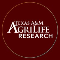 Texas A&M AgriLife Research logo