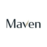 Maven Securities logo
