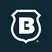 Brinks Home logo