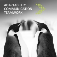 Kingston Consulting Global Ltd logo