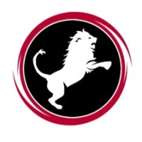 Nemean Solutions, LLC logo