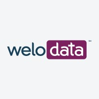 Welo Data logo