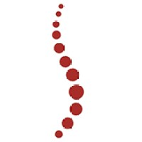 The Spine Hospital of Louisiana logo