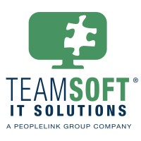 TeamSoft logo