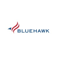 Bluehawk LLC, Intelligence Services logo