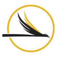 Falcon Construction logo