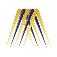 MetaSense Inc logo