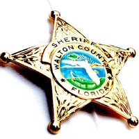 Walton County Sheriff's Office logo
