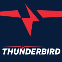 THUNDERBIRD LLC logo
