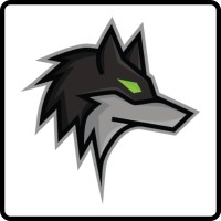 Dark Wolf Solutions logo