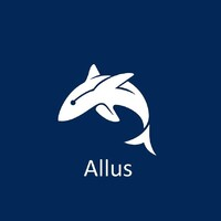 Allus Consultoria Estratégica e Financeira logo