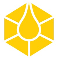 Timeless logo