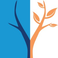 Discovery Institute logo