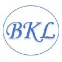 Brenda K. Lowe CPA LLC logo