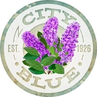 City Blue Imaging Services logo