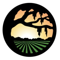 Iberia Medical Center logo